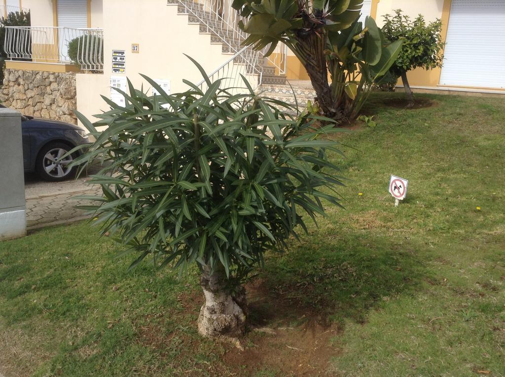 Votre Appartement A Portimão Exterior foto